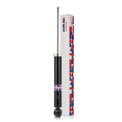 Shock Absorber (134201860)