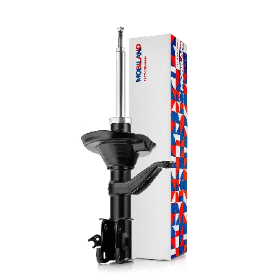 Shock Absorber (134116380)