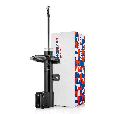 Shock Absorber (134125700)