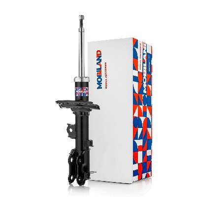 Shock Absorber (134112480)