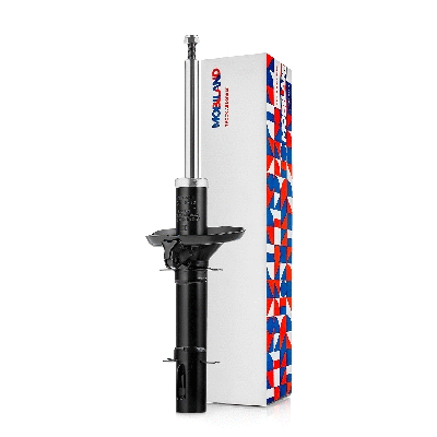 Shock Absorber (134106410)