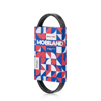 V-Ribbed Belt (501250493)