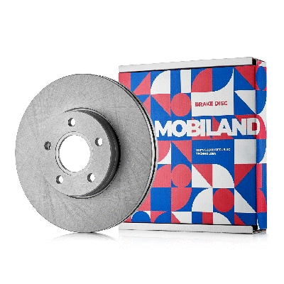 Brake Disc (416102650)