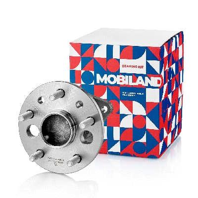 Wheel Hub (220221700)