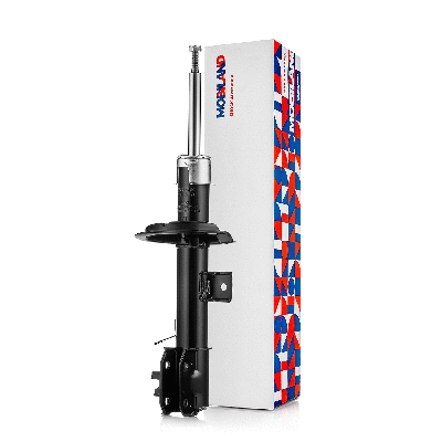 Shock Absorber (134116170)