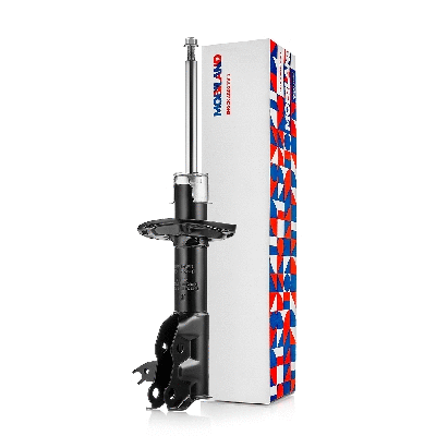 Shock Absorber (134125240)