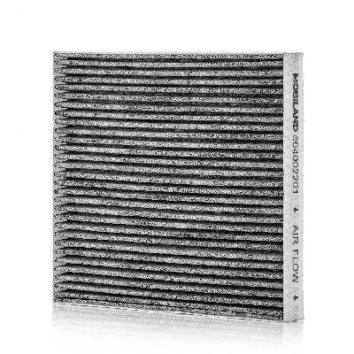 Filter, cabin air (804002201)