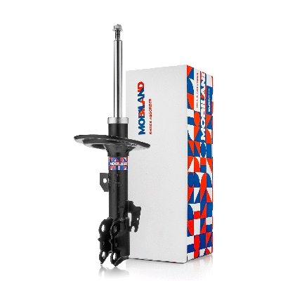 Shock Absorber (134123890)