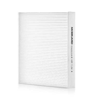 Filter, cabin air (804002100)