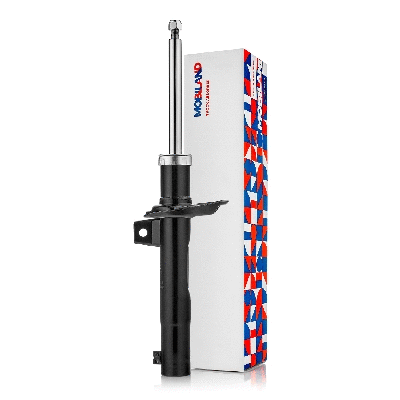 Shock Absorber (134103570)