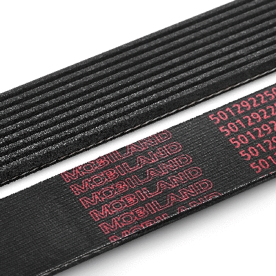 V-Ribbed Belt