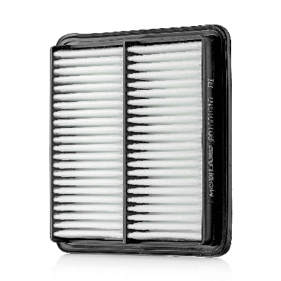 Air Filter (801001610)