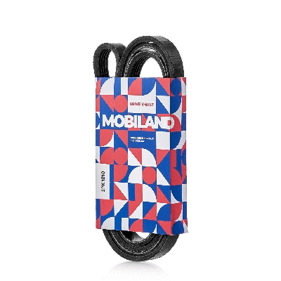 V-Ribbed Belt (501251810)