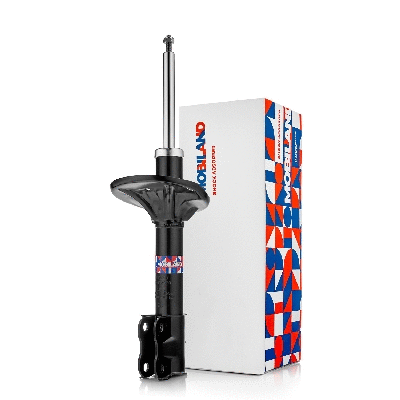 Shock Absorber (134102970)