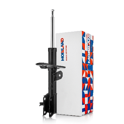 Shock Absorber (134113240)