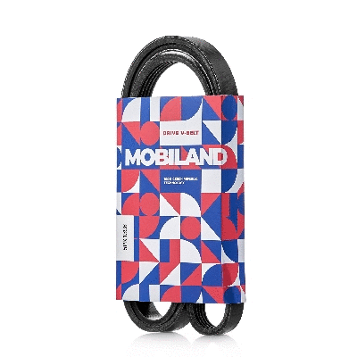 V-Ribbed Belt (501251398)