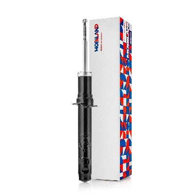 Shock Absorber (134105880)
