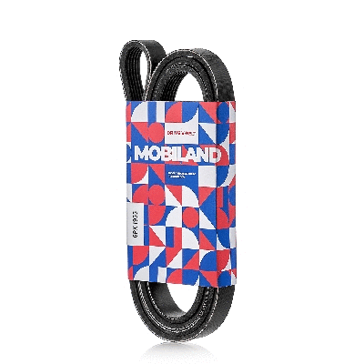 V-Ribbed Belt (501261955)