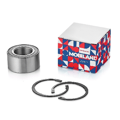 Wheel Bearing (219101670)