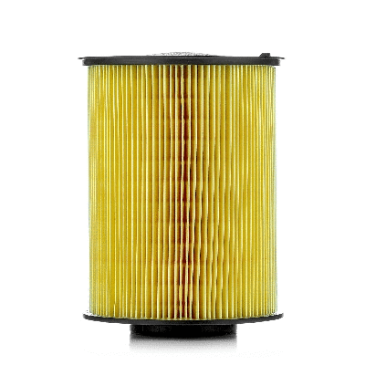 Air Filter (801001170)