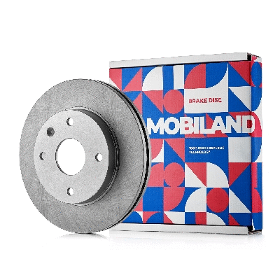 Brake Disc (416102570)