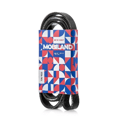 V-Ribbed Belt (501271933)