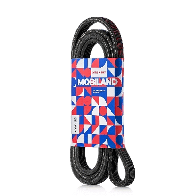 V-Ribbed Belt (501361195)