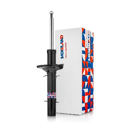 Shock Absorber (134103620)