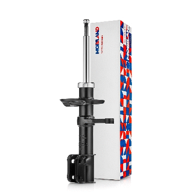 Shock Absorber (134126970)