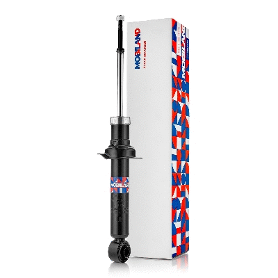 Shock Absorber (134203430)
