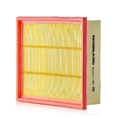 Air Filter (801001390)