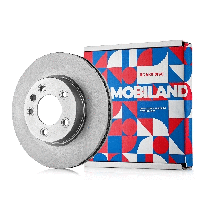 Brake Disc (416101711)