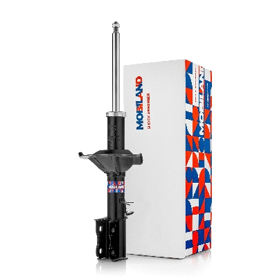 Shock Absorber (134222830)