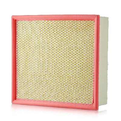 Air Filter (801001090)