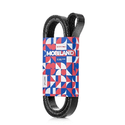 V-Ribbed Belt (501292250)
