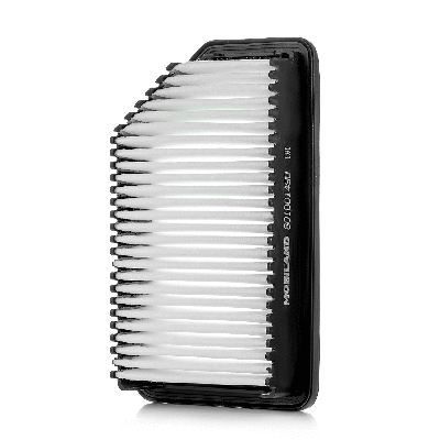 Air Filter (801001490)