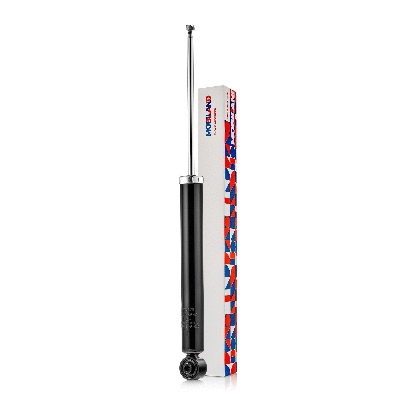 Shock Absorber (134205540)