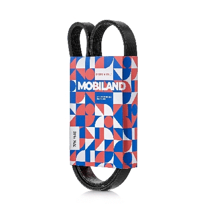 V-Ribbed Belt (501271140)