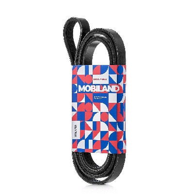 V-Ribbed Belt (501272710)