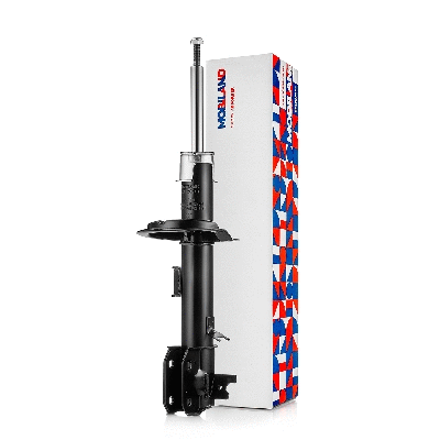 Shock Absorber (134126180)