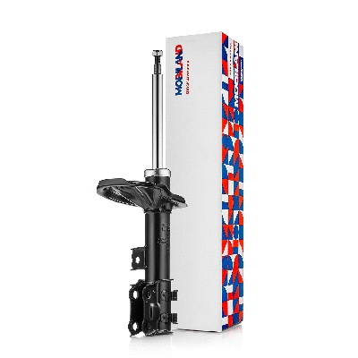 Shock Absorber (134124620)