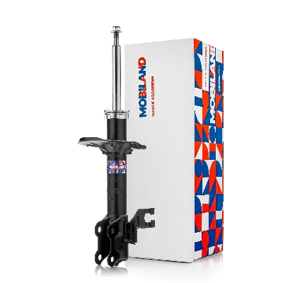 Shock Absorber (134123340)