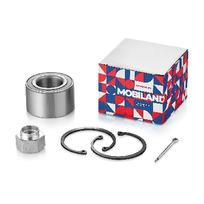 Wheel Bearing (219101150)