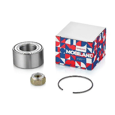Wheel Bearing (219102300)