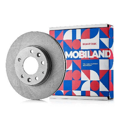 Brake Disc (416102741)