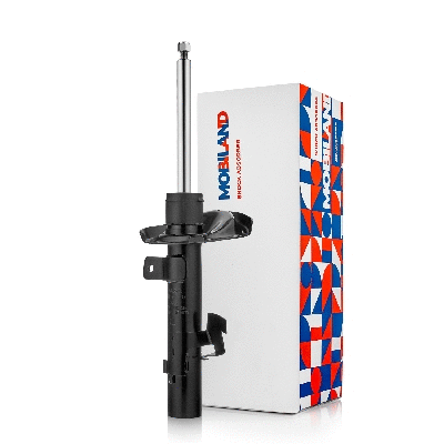Shock Absorber (134112350)