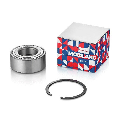 Wheel Bearing (219202750)