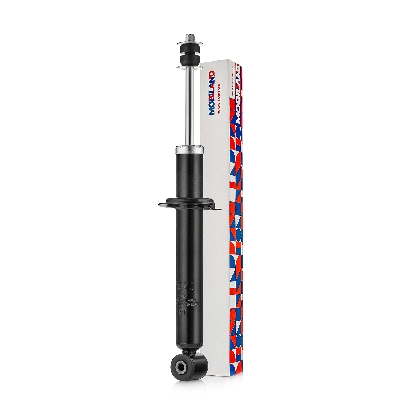 Shock Absorber (134206840)