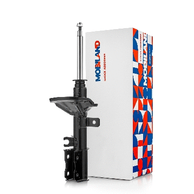 Shock Absorber (134122760)