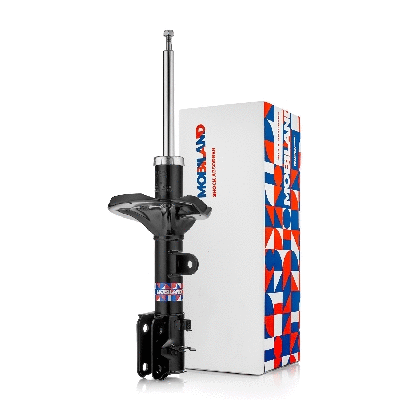 Shock Absorber (134222850)
